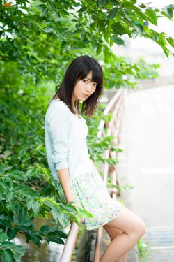王昭君