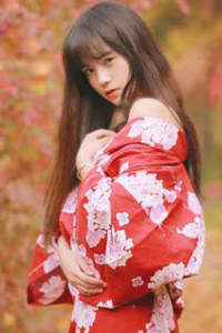 杨布打狗